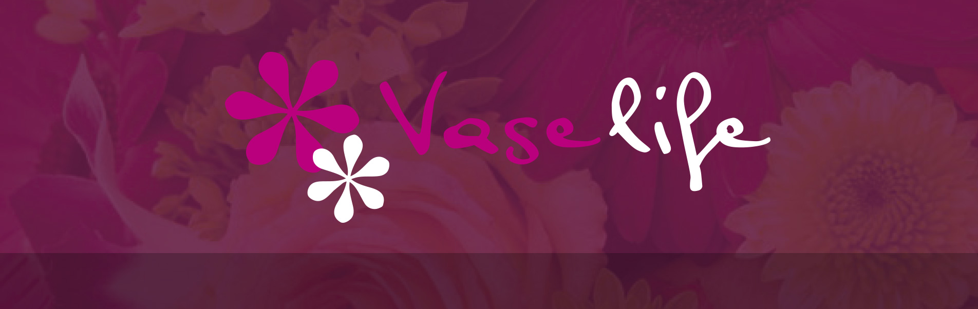vaselife-logo